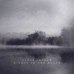 h视频在线网站hhh
